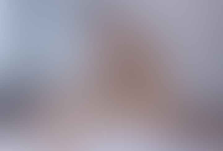 Penthouse Gold porn video: 